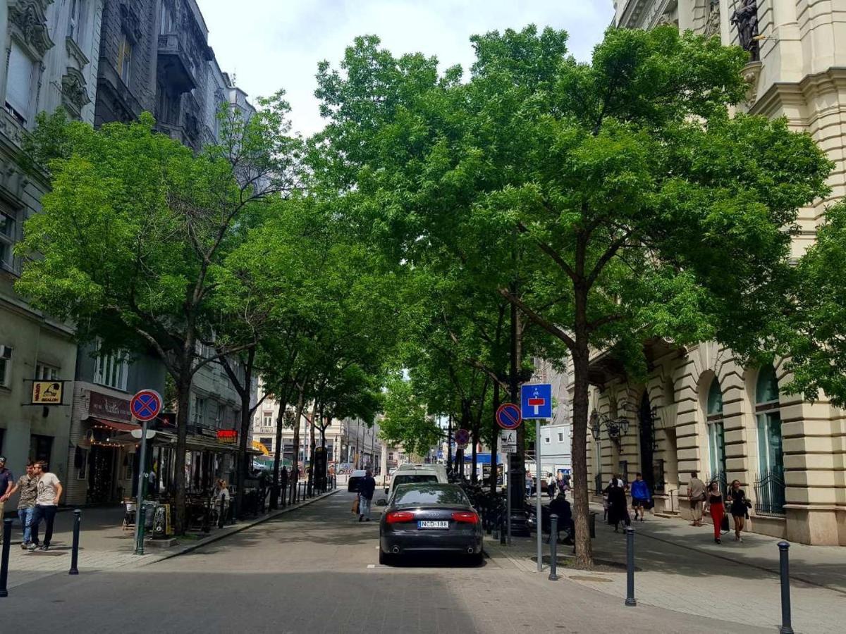 Like Studio City Centrum, Wifi, Terrace Budapeşte Dış mekan fotoğraf