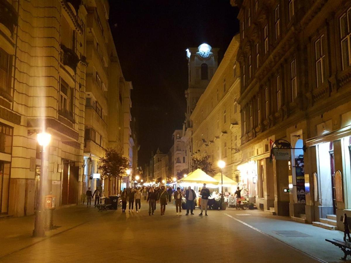Like Studio City Centrum, Wifi, Terrace Budapeşte Dış mekan fotoğraf